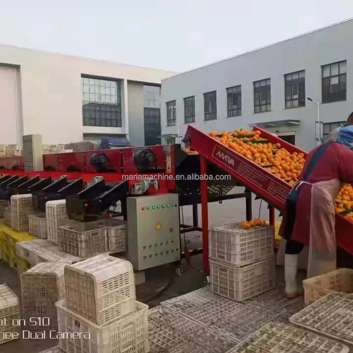 Kukuma ya mbote ya kulolula Mashini ya Kuyoka Mashini Tomate Tomate Kuyoka Matungu ya Kuyobisa Masina ya Matiti ya Matiti ya Nene yina ke pesa grade ya nene